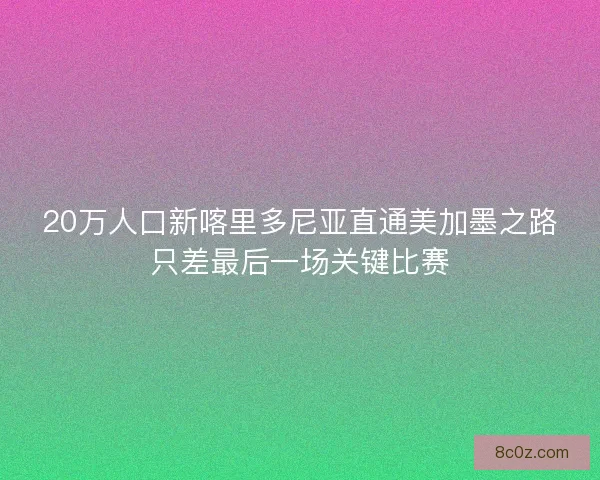 20万人口新喀里多尼亚直通美加墨之路只差最后一场关键比赛