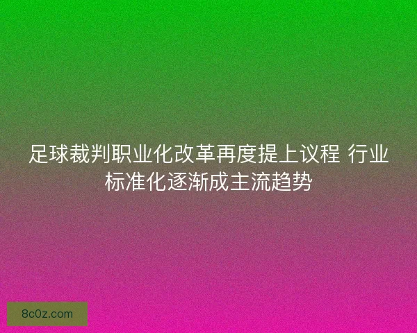 足球裁判职业化改革再度提上议程 行业标准化逐渐成主流趋势